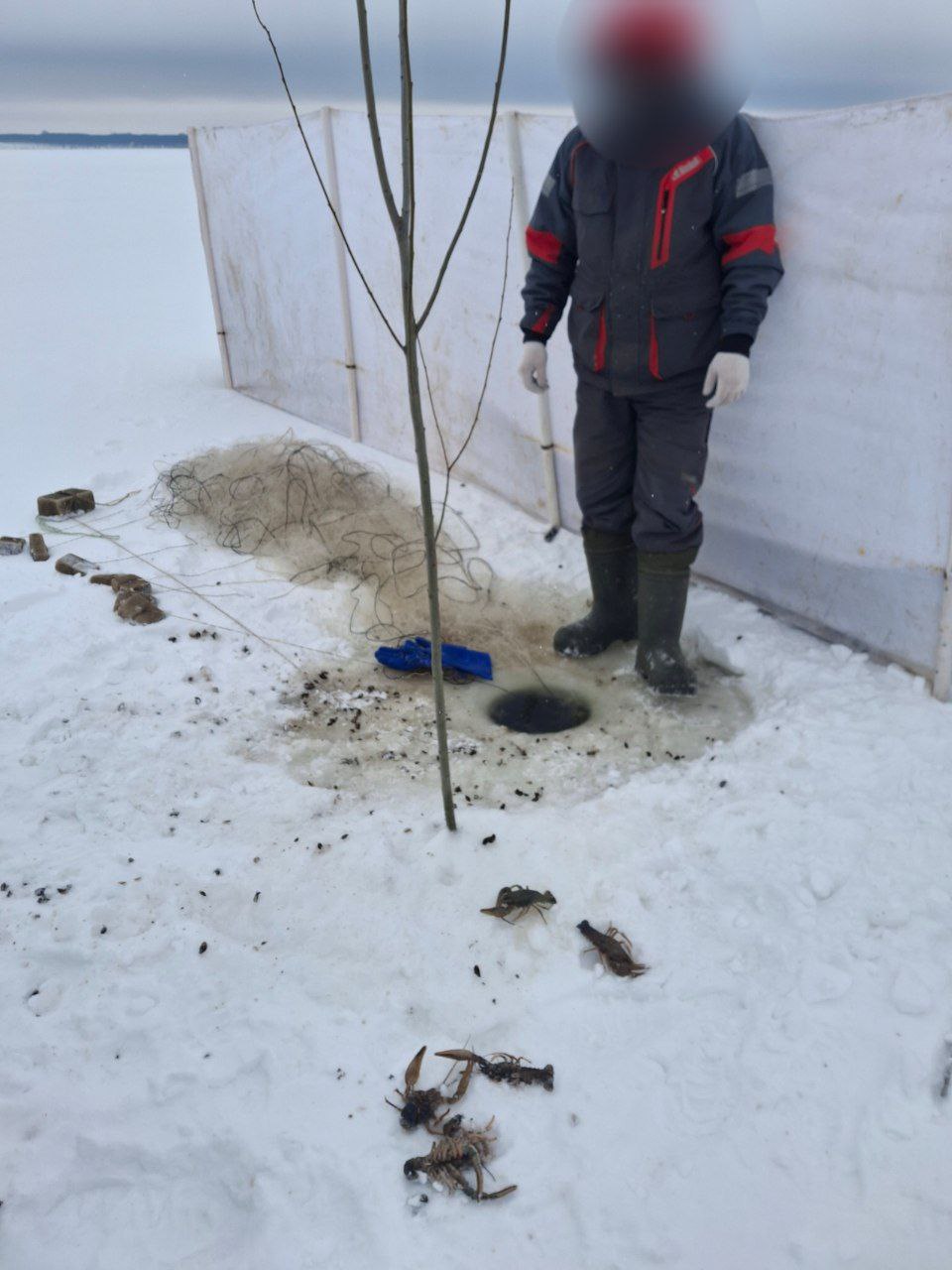 Итоги работы рыбоохраны по Ульяновской области за период с 19 января 2026 по 02 февраля 2026 года