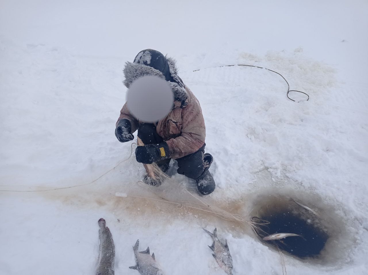 Итоги работы отдела рыбоохраны по Пермскому краю за период с 15 по 31 января 2026 года