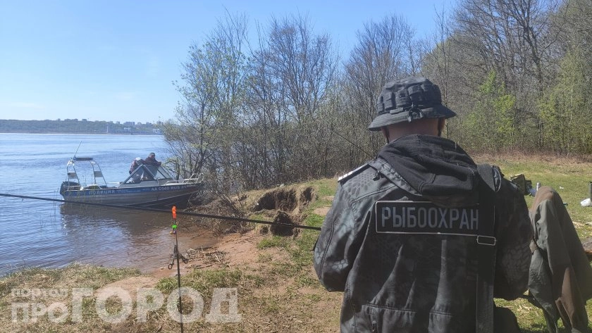 На Волге под Новочебоксарском изъяли километр браконьерских сетей: спасены больше сотни нерестовых рыб