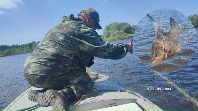 Рыбоохрана Марий Эл отлавливает на Волге браконьеров
