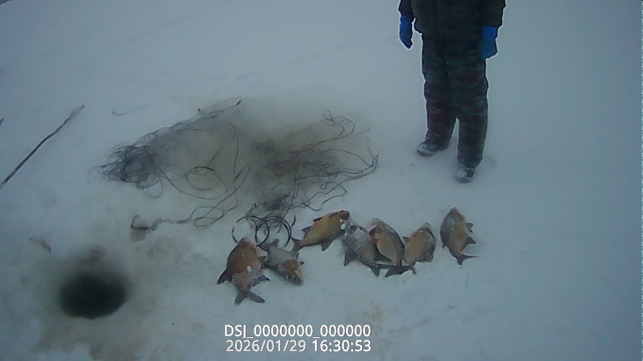 Итоги работы отдела рыбоохраны по Пензенской области за период с 19 по 31 января 2026 года 