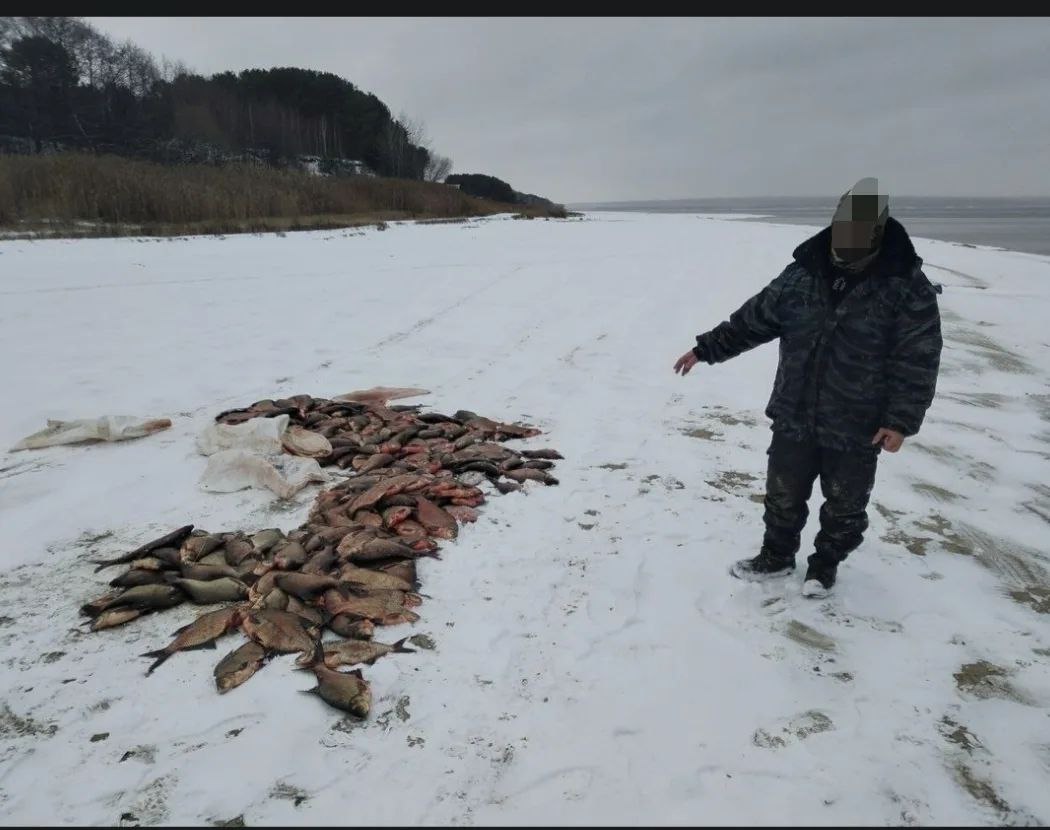 Итоги работы отдела рыбоохраны по Пензенской области за период с 1 по 14 декабря 2025 года