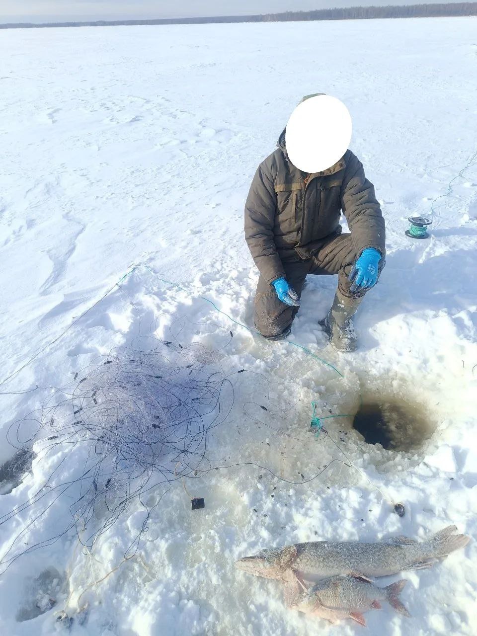 Итоги работы рыбоохраны по Республике Марий Эл за период с 02 февраля по 15 февраля 2026 года