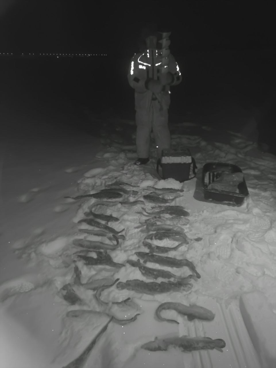 Итоги работы рыбоохраны по Чувашской Республике за период с 01 по 26 января 2026 года