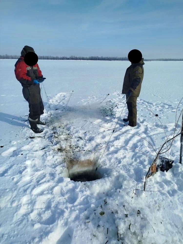 Итоги работы рыбоохраны по Саратовской области за период с 26 января 2026 года по 08 февраля 2026 года