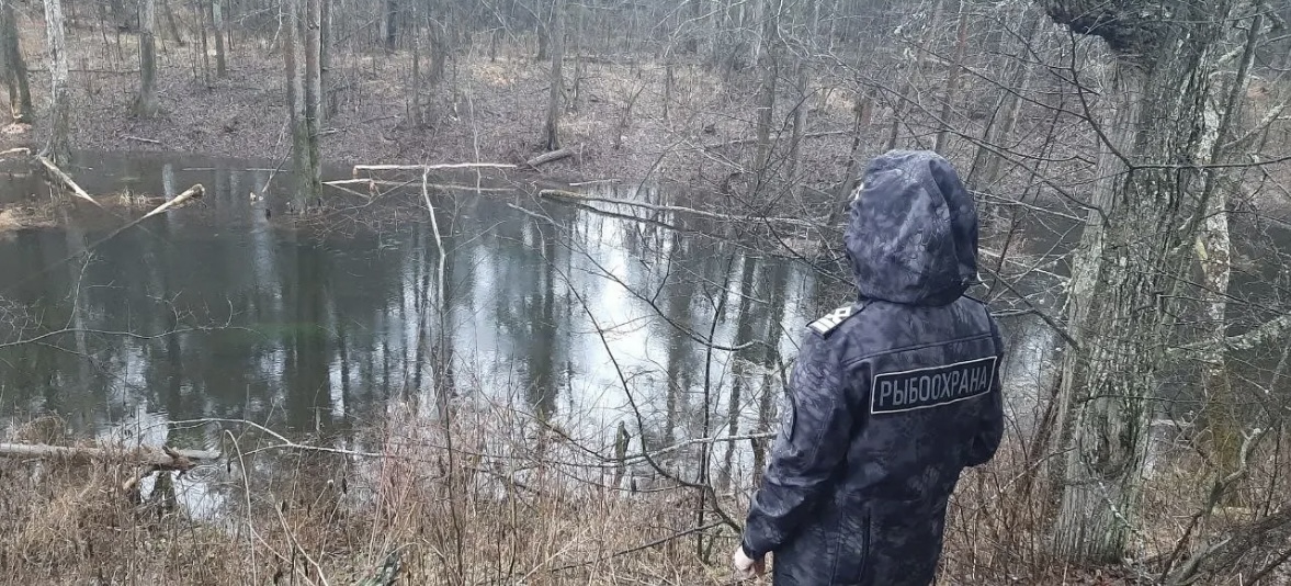 Рыбоохрана РМЭ осуществляет проверки выполнения условий договоров пользования рыбоводными участками