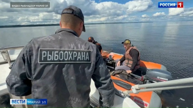 15 протоколов составили на браконьеров в ходе акции «Волга без сетей» в Марий Эл