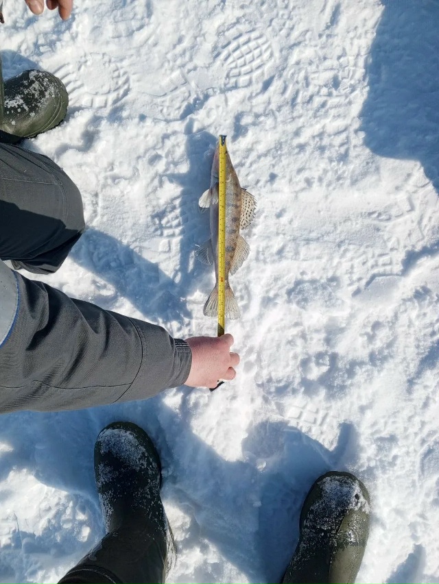 Итоги работы рыбоохраны Оренбургской области с 16 февраля по 15 марта 2026 г.