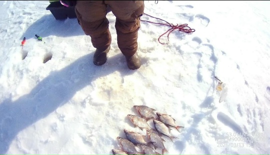 Итоги работы отдела рыбоохраны по Пензенской области за период с 1 по 15 марта 2026 года