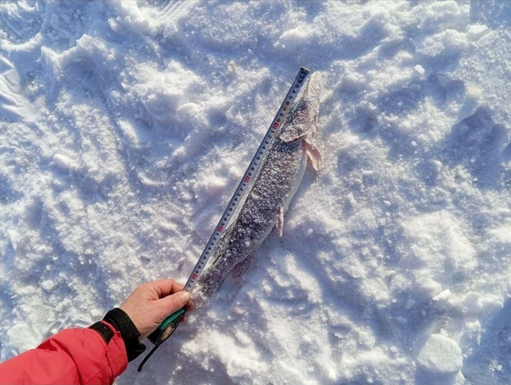 photo_2026-01-16_14-54-39.jpg photo_2026-01-16_14-54-39.jpg