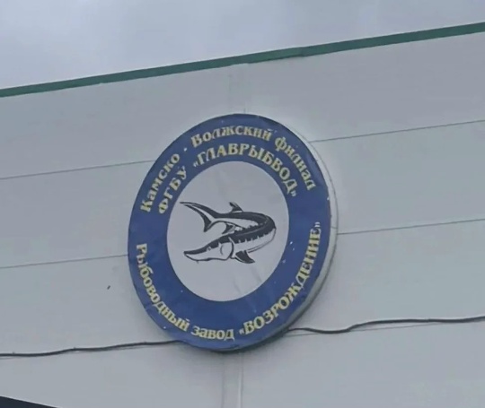 SjxXhhOvH_Rw9q0WOLccMs2gAymcJUEZSHKLP2QiR23_aCQaF9OeNkGs5pUkiOLwMo1WSornLYeFK-3ANHazyKhr.jpg