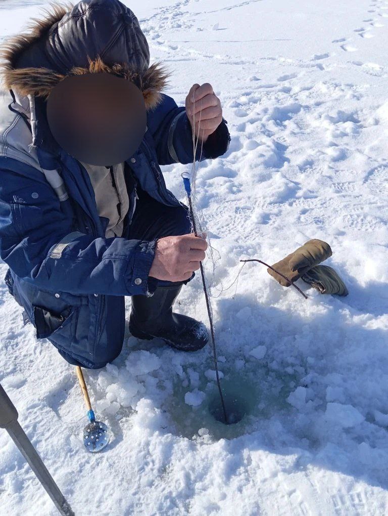 photo_2026-03-18_11-33-42.jpg photo_2026-03-18_11-33-42.jpg