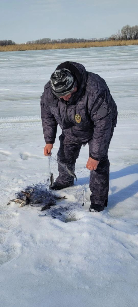 photo_2026-03-18_11-33-34.jpg photo_2026-03-18_11-33-34.jpg