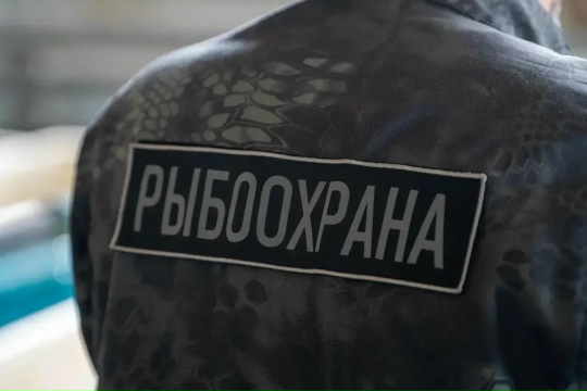 CQBYj4tGDennU6-i8Y2qvB84d-8KpWnrj_HiT8Qo8T9TItm_qWW4iY5eQ4_LlalwHnlukPq9juRk2W2nMuU9HgTr.jpg