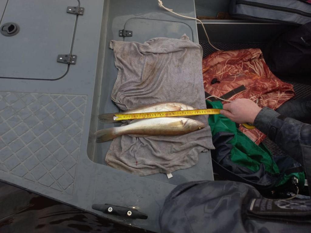 photo_2025-10-21_09-54-42.jpg photo_2025-10-21_09-54-42.jpg