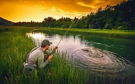 День без сетей в Самарской области