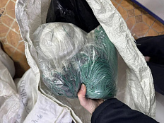 Итоги работы рыбоохраны по Удмуртской Республике за период с 15 по 30 ноября 2025 года 