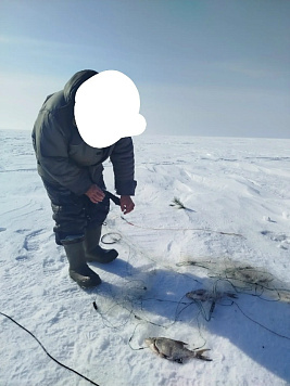 Работа отдела рыбоохраны по Пермскому краю за период с 1 по 31 марта 2026 года