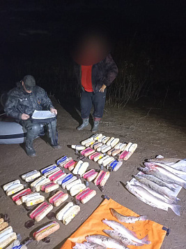 Итоги работы Пермского отдела рыбоохраны за период с 1 по 13 октября 2025 года.