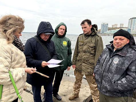 В Чебоксарах выпустили в Волгу молодь сазана