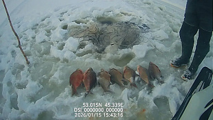 Итоги работы отдела рыбоохраны по Пензенской области за период с 1 по 18 января 2026 года