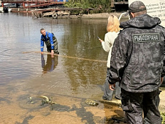 В водные объекты Республики Татарстан выпущено более 120 тысяч молоди стерляди