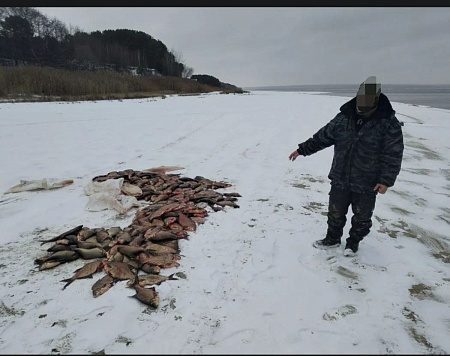 Итоги работы отдела рыбоохраны по Пензенской области за период с 1 по 14 декабря 2025 года