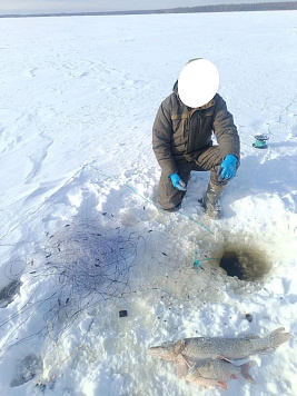 Итоги работы рыбоохраны по Республике Марий Эл за период с 02 февраля по 15 февраля 2026 года