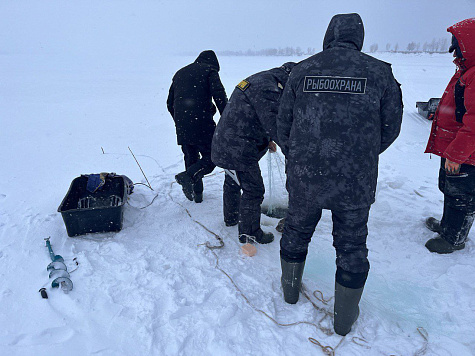 Итоги работы отдела рыбоохраны по Республике Татарстан с 16 января по 01 февраля 2026 г.