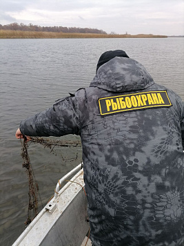 Итоги работы отдела рыбоохраны по Республике Татарстан с 01 по 15 ноября 2025 г.