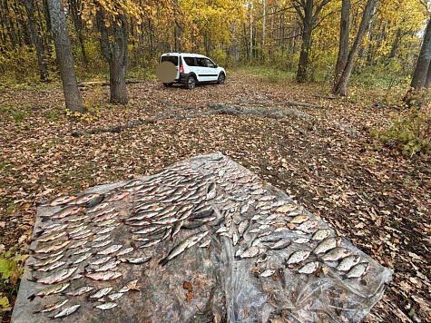 Итоги работы рыбоохраны по Удмуртской Республике за период с 1 по 15 октября 2025 года