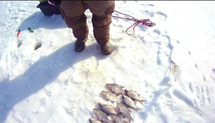 Итоги работы отдела рыбоохраны по Пензенской области за период с 1 по 15 марта 2026 года