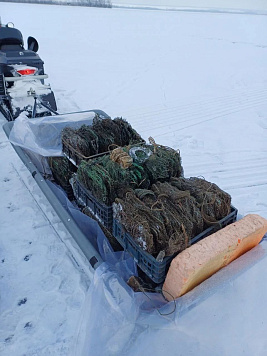 Итоги работы отдела рыбоохраны по Самарской области за период с 1 по 15 января текущего года 