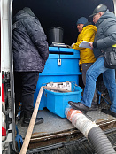 В Чувашии прошёл выпуск молоди сазана