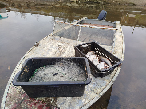 Итоги работы отдела рыбоохраны по Пермскому краю за период с 1 по 20 ноября 2025 года 