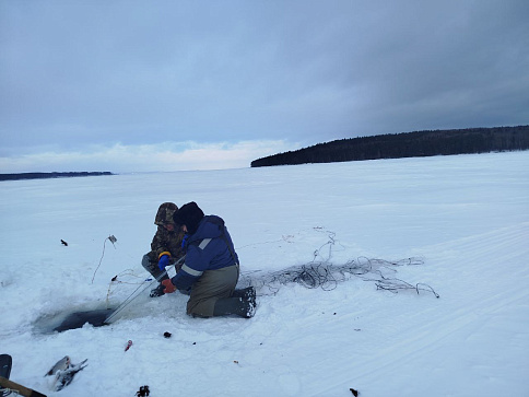 Работа рыбоохраны по Пермскому краю в праздничные дни 2026 года